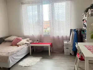 Pronájem bytu 1+kk, Spomyšl, 26 m2