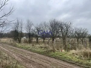 Prodej pole, Veselí nad Moravou, 3405 m2