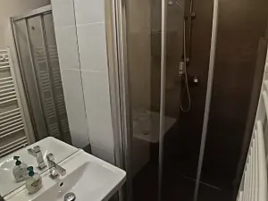 Pronájem bytu 1+kk, Brno, Hlinky, 44 m2