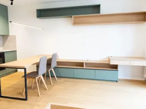 Pronájem bytu 1+kk, Brno, Bratislavská, 45 m2