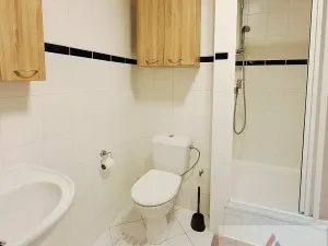 Prodej bytu 1+kk, Praha - Strašnice, Vinohradská, 40 m2