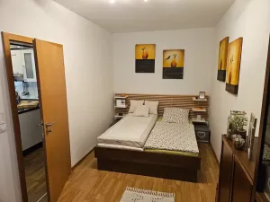 Pronájem bytu 2+kk, Říčany, Na Fialce, 48 m2
