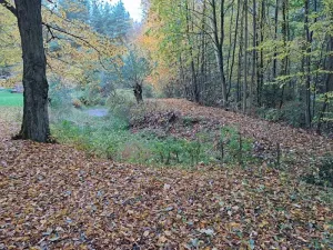 Prodej lesa, Chlístovice, 1161 m2