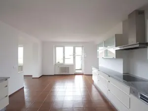 Pronájem bytu 6+kk a větší, Praha - Braník, Psohlavců, 290 m2
