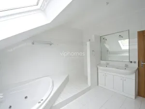 Pronájem bytu 6+kk a větší, Praha - Braník, Psohlavců, 290 m2