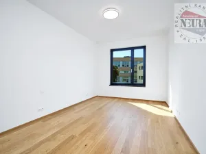 Pronájem bytu 2+kk, Praha - Holešovice, Jankovcova, 65 m2