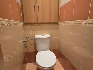 Prodej bytu 2+kk, Náměšť nad Oslavou, Družstevní, 52 m2