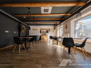 Pronájem restaurace, Otrokovice, Dr. E. Beneše, 237 m2