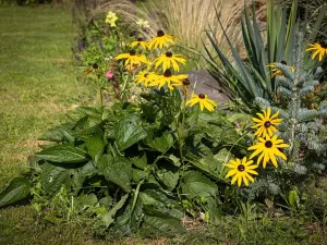 Prodej zemědělské usedlosti, Bžany, 240 m2