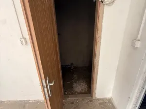 Pronájem ostatní, Olomouc - Nové Sady, Rokycanova