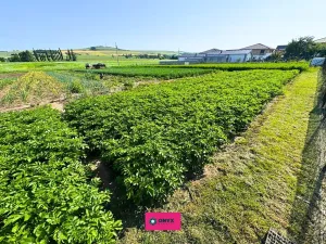 Prodej pozemku pro bydlení, Hodějice, 1062 m2