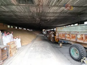 Prodej výrobních prostor, Bohdalice-Pavlovice, 1300 m2