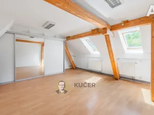 Prodej ubytování, Velká Chmelištná, 550 m2