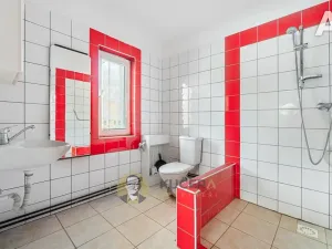 Prodej výrobních prostor, Velká Chmelištná, 550 m2