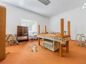 Prodej komerční nemovitosti, Velká Chmelištná, 550 m2