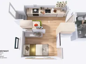 Pronájem bytu 1+kk, Brno, Teslova, 20 m2