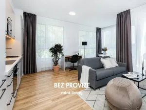 Pronájem bytu 2+kk, Praha - Vysočany, Odkolkova, 58 m2