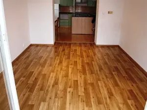 Pronájem bytu 2+1, Prostějov, Šárka, 50 m2