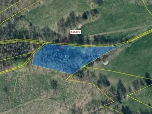 Dražba lesa, Mikulášovice, 4741 m2