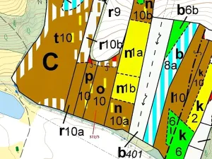 Dražba lesa, Přílepy, 7060 m2
