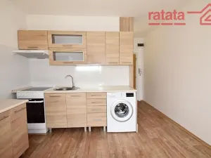 Pronájem bytu 1+1, Chomutov, Březenecká, 33 m2