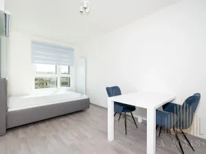 Pronájem bytu 1+kk, Praha - Žižkov, Olgy Havlové, 38 m2