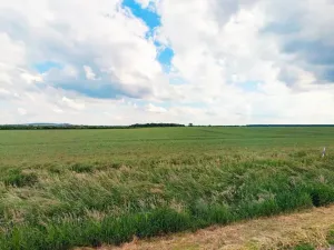 Prodej pole, Kouty, 29924 m2