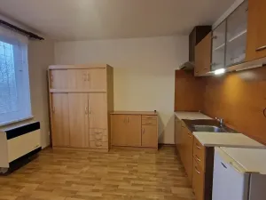 Prodej bytu 1+kk, Štěnovice, Čižická, 27 m2