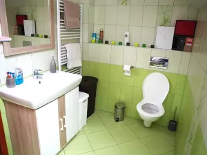 Pronájem bytu 1+kk, Plzeň, Bezová, 75 m2