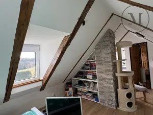 Prodej rodinného domu, Nová Ves, 480 m2