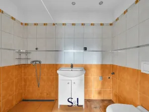 Prodej rodinného domu, Starý Šachov, 350 m2