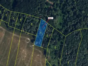 Dražba lesa, Přemyslovice, 1381 m2