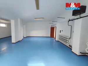 Pronájem garáže, Ostrava - Přívoz, Newtonova, 140 m2