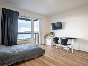 Pronájem bytu 1+kk, Praha, 30 m2