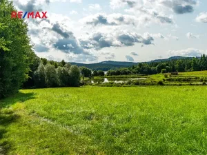 Prodej komerčního pozemku, Nová Pec, 9752 m2