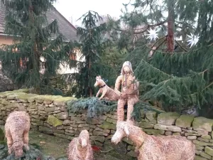 Prodej vícegeneračního domu, Libice nad Doubravou, 250 m2