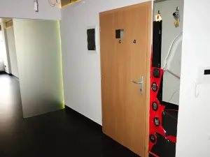 Prodej bytu 2+kk, České Budějovice, Rudolfovská tř., 98 m2