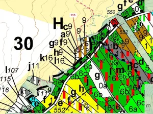 Dražba lesa, Trhové Sviny, 590 m2
