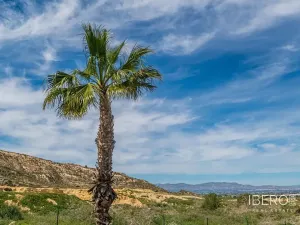 Prodej bytu 4+kk, Algorfa, Španělsko, 95 m2