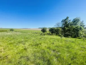 Prodej pozemku pro bydlení, Radnice, Puchmajerova, 850 m2