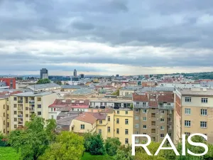 Prodej bytu 1+kk, Brno, Pellicova, 114 m2