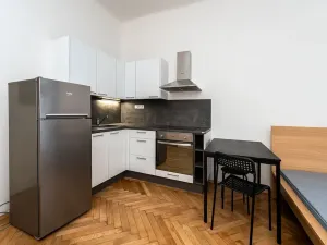 Pronájem bytu 1+kk, Praha - Nové Město, Lípová, 33 m2