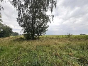 Prodej pozemku, Lučina, 2602 m2