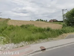 Dražba pozemku pro bydlení, Bruzovice, 11054 m2