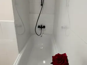 Pronájem bytu 1+kk, Frýdek-Místek, Dr. M. Tyrše, 33 m2