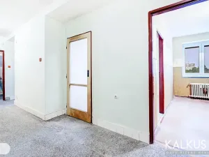 Prodej bytu 3+1, Kladno, Vrchlického, 78 m2