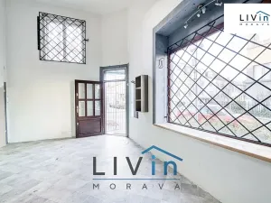 Pronájem obchodního prostoru, Olomouc, Husitská, 54 m2