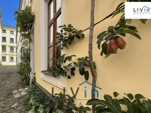 Pronájem bytu 1+1, Olomouc, Kapucínská, 23 m2