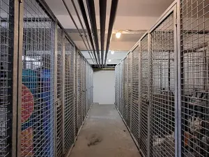 Pronájem bytu 3+kk, Praha - Strašnice, Černokostelecká, 71 m2