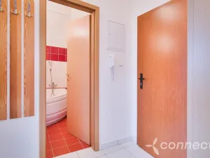 Pronájem bytu 2+kk, Zruč nad Sázavou, náměstí Míru, 36 m2